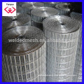 Black Iron Wire/Gal Wire/PVC Coated Welded Wire Mesh for fence